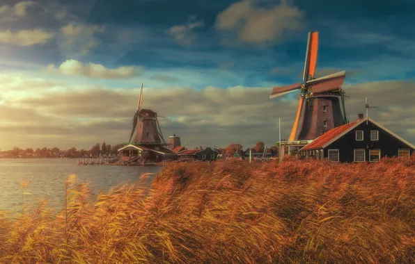 Picture river, home, reed, mill, Netherlands, Netherlands, Zaanse Schans, The Zaanse Schans