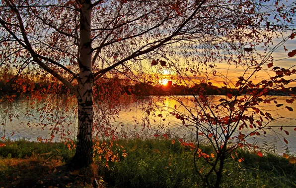 Autumn, sunset, nature