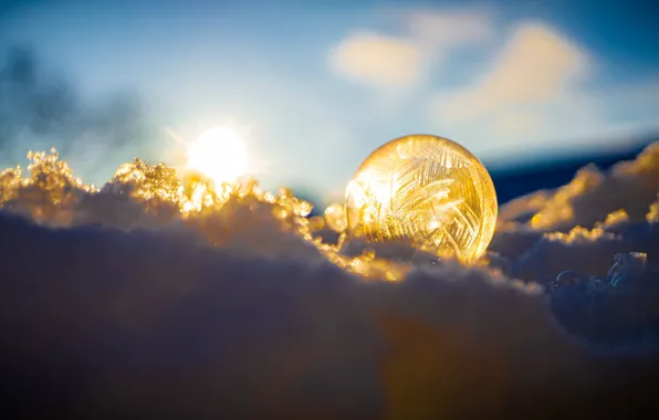 Winter, the sky, the sun, clouds, light, snow, transparent, lights