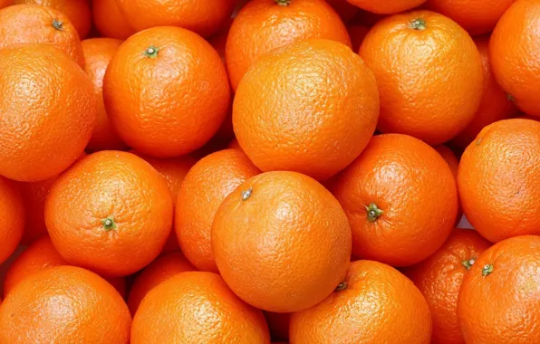 Ripe, Orange, Orange