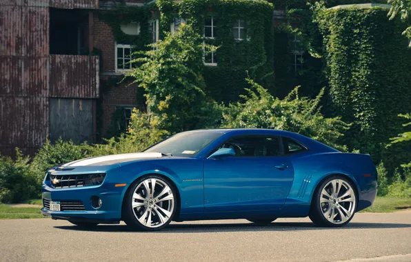 Picture trees, blue, Chevrolet, Camaro, Chevrolet, blue, the front part, Camaro