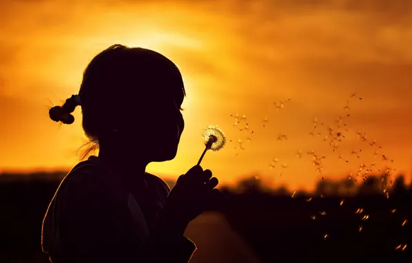 Sunset, mood, dandelion, girl