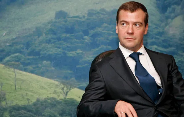 Look, picture, President, Dmitry Medvedev