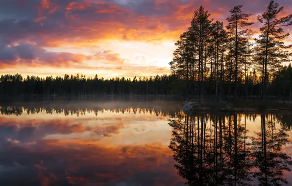 Tampere, Orivesi, lake whitefish lake, Lauttakulma