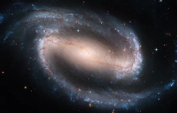 Hubble, Spiral galaxy with a jumper, NGC 1300