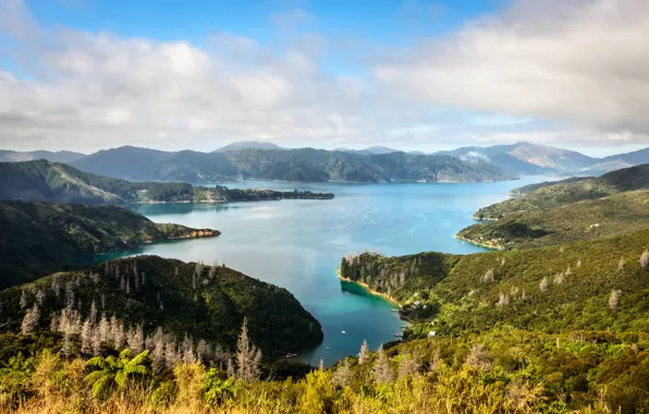 Sea, Islands, New Zealand, Marlborough