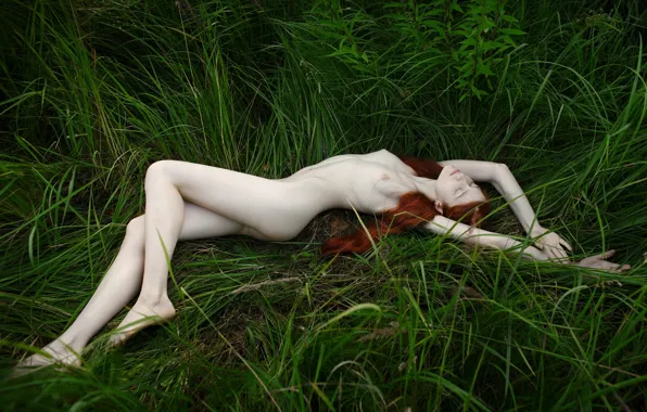 BODY, GRASS, CHEST, GREENS, RED