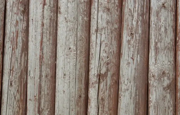 Background, wall, widescreen, Wallpaper, texture, logs, wallpaper, log