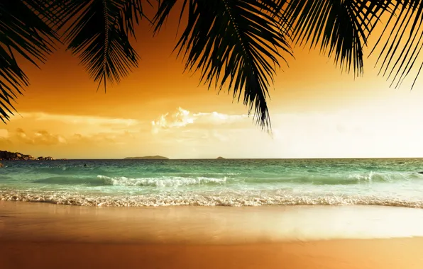 Picture sand, sea, beach, sunset, tropics, palm trees, shore, beach