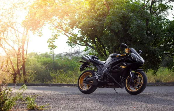 The sun, trees, motorcycle, black, black, yamaha, bike, Yamaha