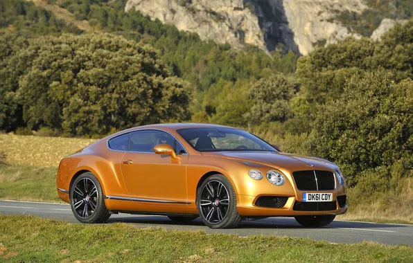 Picture Bentley, Continental, Trees, Wheel, Machine, Bentley, Gold, Coupe