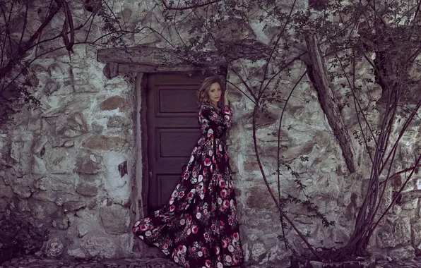 Picture girl, face, house, wall, hair, dress, the door