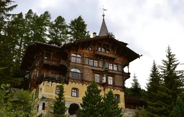 Trees, design, home, Switzerland, St. Moritz