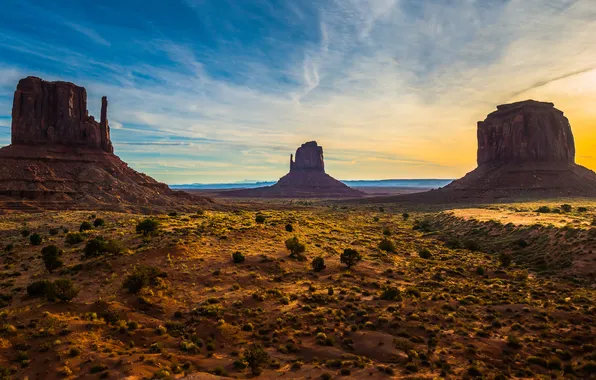 Field, mountains, blue, rocks, desert, Monument Valley