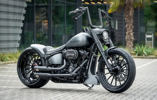 Picture silver, boy, Tuning, Harley-Davidson, fat, customized, blast, Thunderbike