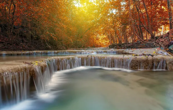Autumn, forest, leaves, landscape, river, rocks, waterfall, forest