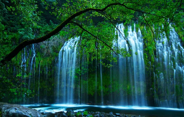 Greens, trees, nature, waterfall, USA, Shasta Retreat, Sacramento River, Mossbrae Falls