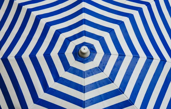 Picture drops, strips, umbrella