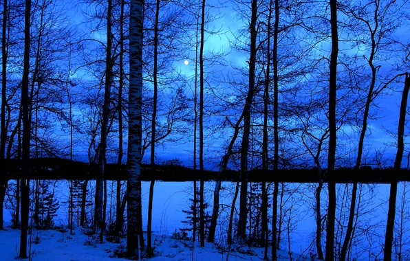 Picture winter, the sky, clouds, snow, trees, night