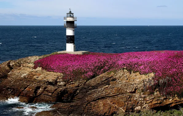 Picture sea, flowers, rocks, coast, lighthouse, Spain, Spain, Ribadeo
