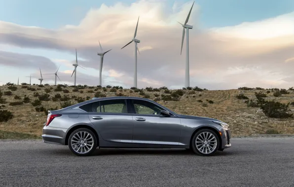 Grey, Cadillac, sedan, side view, four-door, 2020, CT5