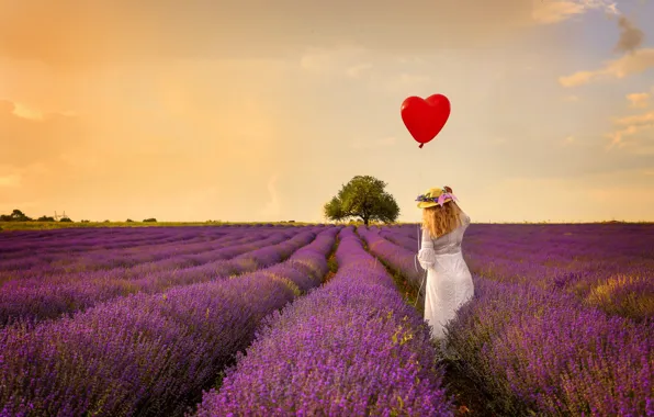 Picture balls, flowers, lavender, back, girl, field