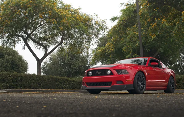 Picture Mustang, Ford, RTR, Parking, 2013