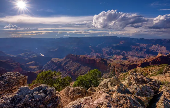 Picture AZ, USA, Grand Canyon