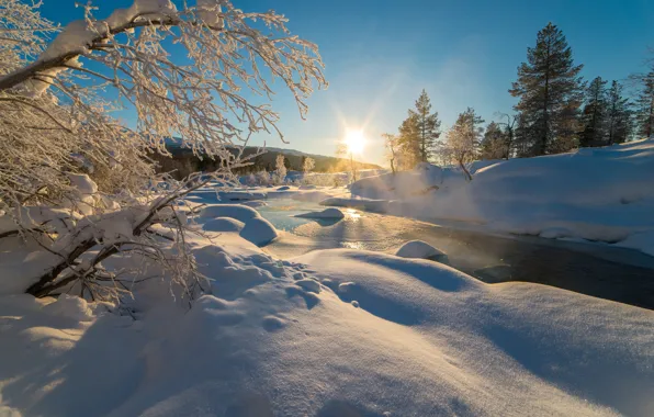 Winter, forest, the sky, the sun, snow, trees, stream, dawn
