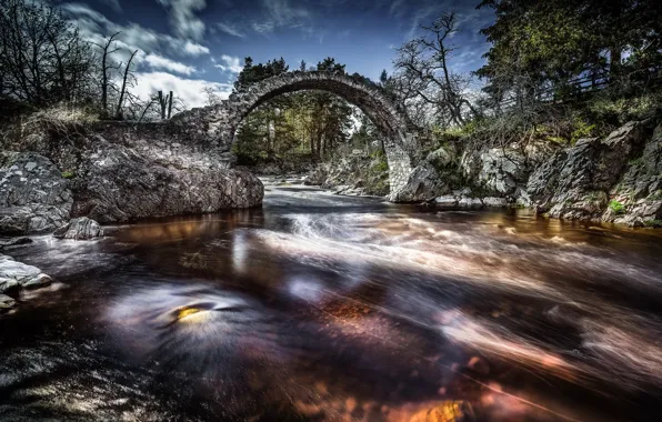 Picture bridge, nature, river