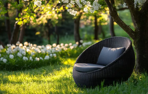 Greens, grass, light, trees, flowers, branches, comfort, tree