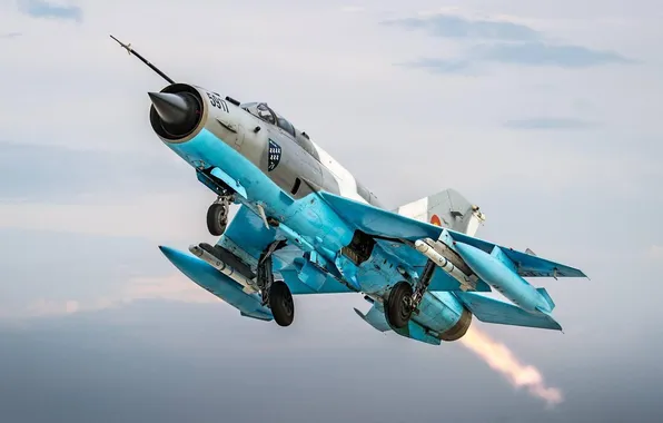 Picture aircraft, military, aviation