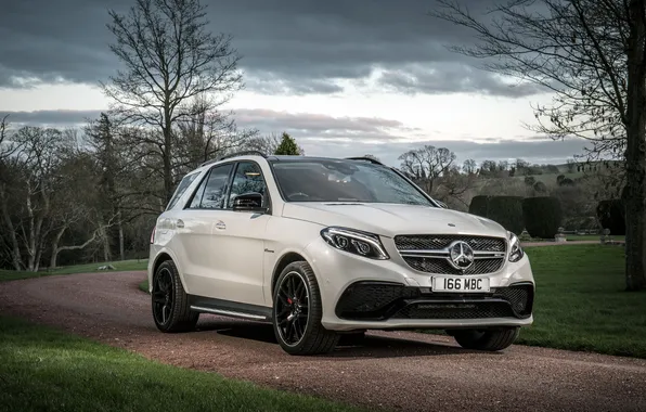 Mercedes-Benz, Mercedes, AMG, crossover, AMG, GLE-Class, W166