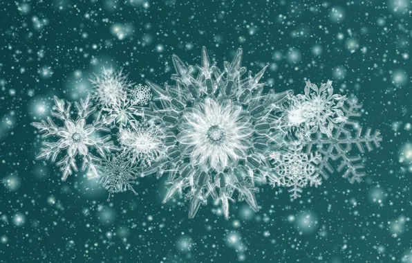 Snowflakes, background, crystals
