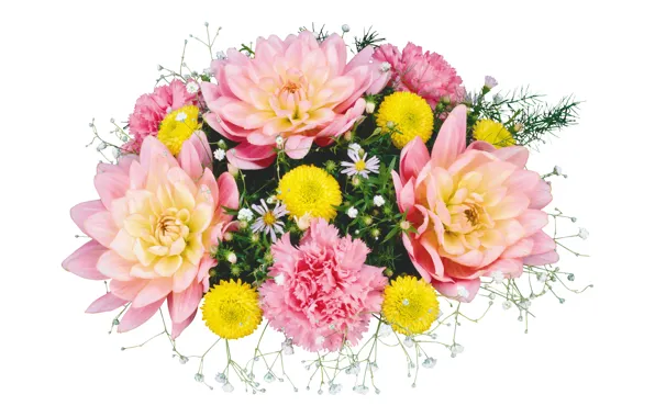 Picture bouquet, white background, dahlias