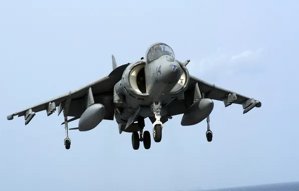 Picture the carrier, landing, harrier