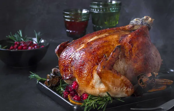 Glasses, meat, Turkey, cranberry