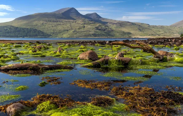 Scotland, Isle of Mull coastline, Killunaig