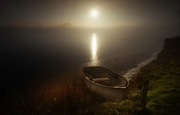 Grass, water, light, landscape, night, nature, fog, glare