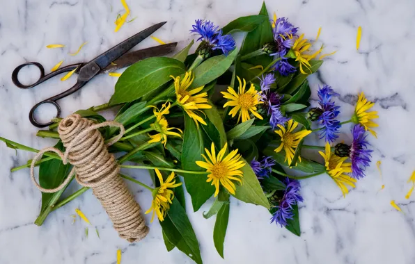 Picture chamomile, bouquet, twine, scissors, cornflowers, doronikum