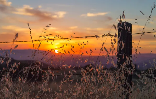 Picture field, clouds, sunset, hills, stems, the fence, wire, valley