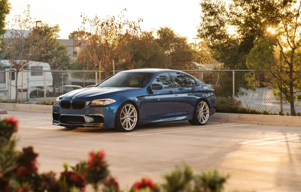 Picture bmw, flowers, parking, F10, m5