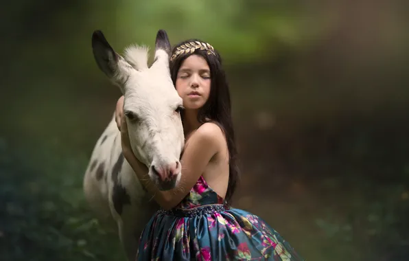 Background, each, mood, friendship, girl, donkey