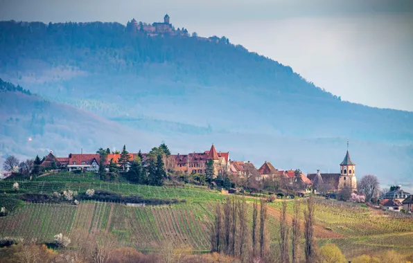 Picture field, forest, the sun, trees, mountains, France, home, haze