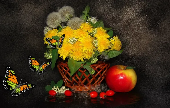 Picture BUTTERFLY, Still life, DANDELIONS, BEAUTY, the Wallpapers