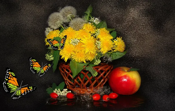 BUTTERFLY, Still life, DANDELIONS, BEAUTY, the Wallpapers