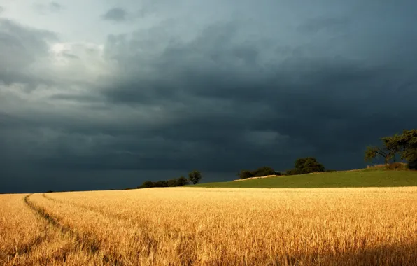 The storm, field, clouds