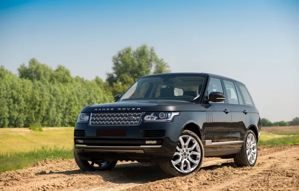 Road, nature, Range Rover, Rover, Range