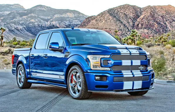 Picture Ford, Shelby, 2018, F-150, Super Snake, Shelby F-150 Super Snake 2018