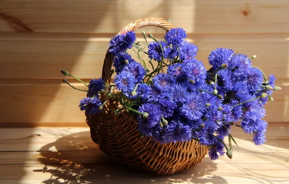 Summer, flowers, cornflowers, cottage, composition